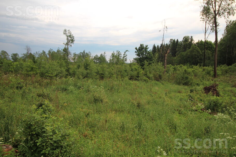 Rozes, Ustroņi, Rēzekne un raj., Sokolku pag. — zeme