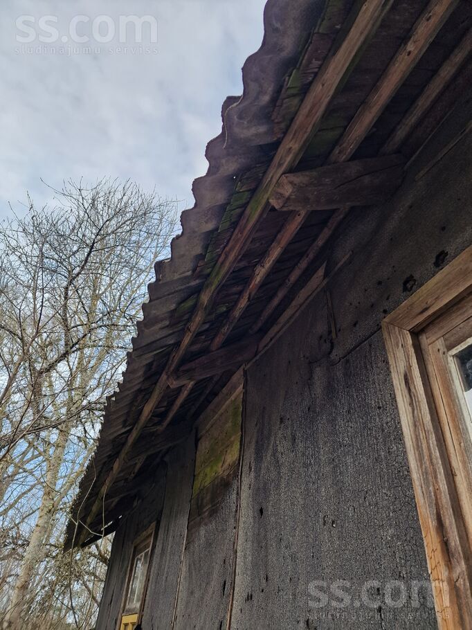 Vite, Rīgas rajons, Mālpils pag. — vienseta