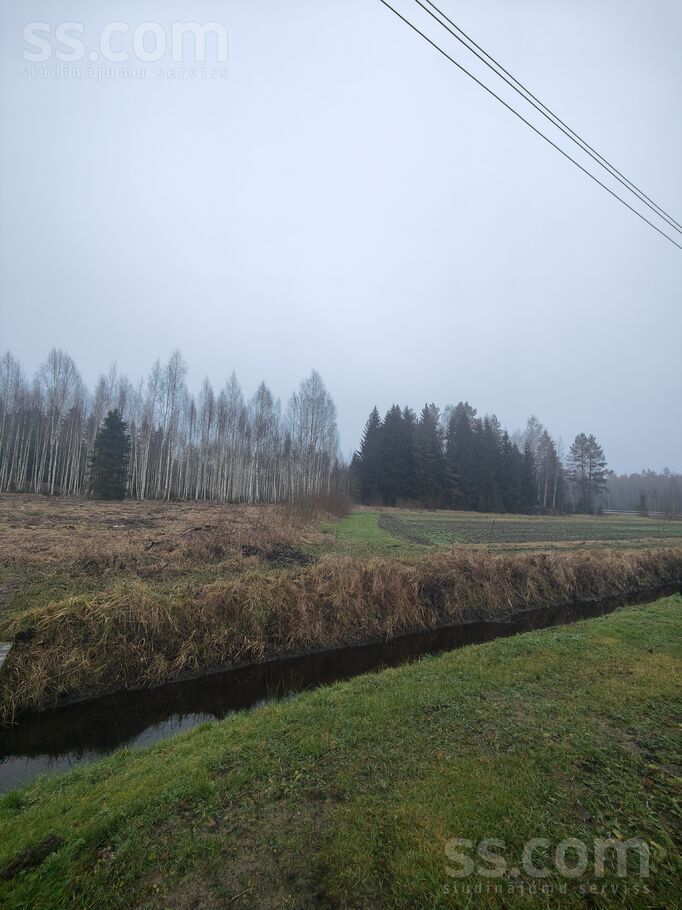 Cielavuiela iela 17, Gaidas, Rīgas rajons, Ropažu nov. — zeme