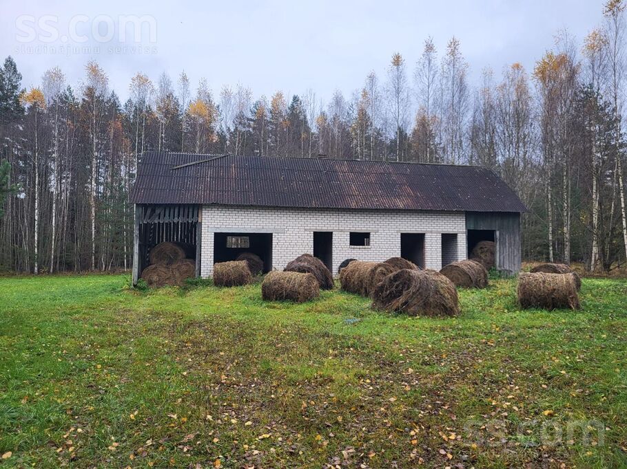 Nomalnieki, Vireši, Alūksne un raj., Virešu pag. — zeme