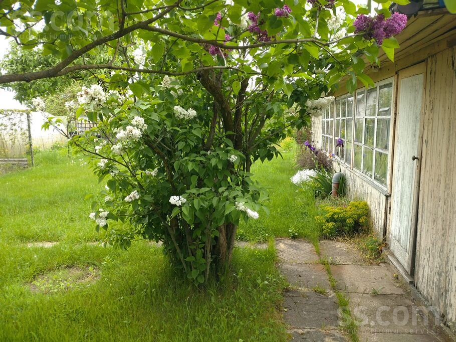 Dārziņu 60. l. 4, Rīga — zeme