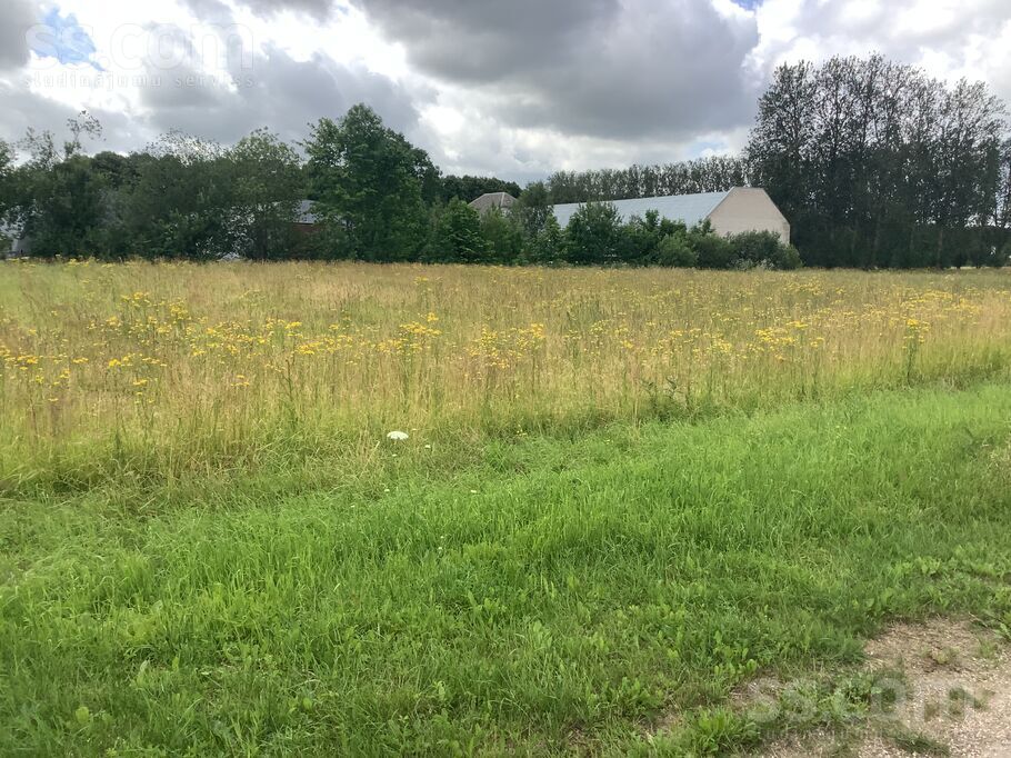 Lavandas, Zūras, Ventspils un raj., Vārves pag. — zeme