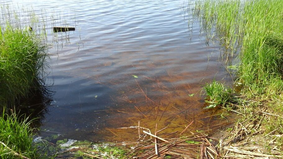 Saules, Gātciems, Rīgas rajons, Salas pag. — zeme