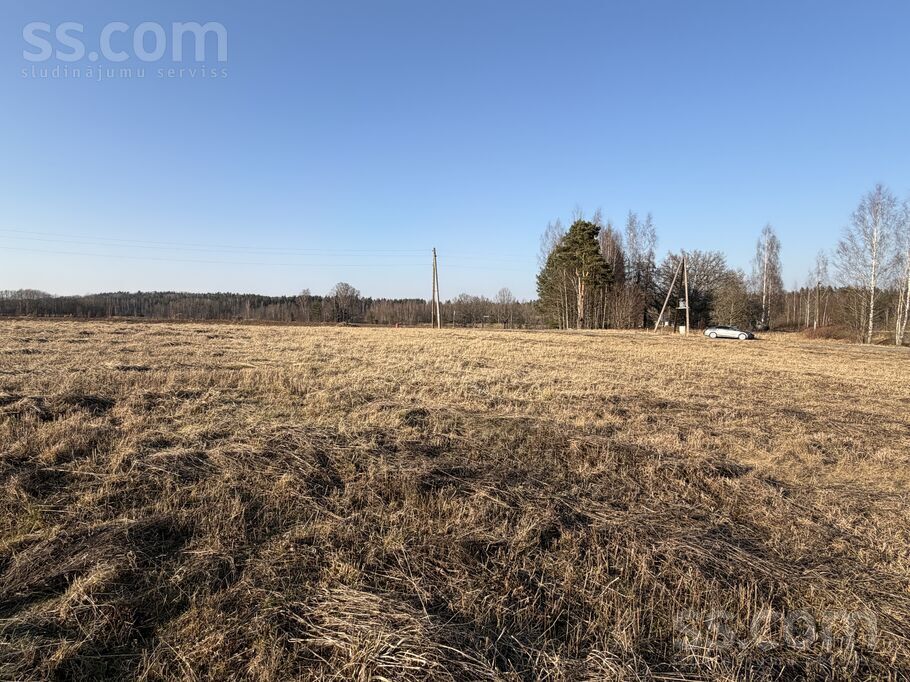 Lāčplēša iela 10, Priekuļi, Cēsis un raj., Priekuļu pag. — zeme