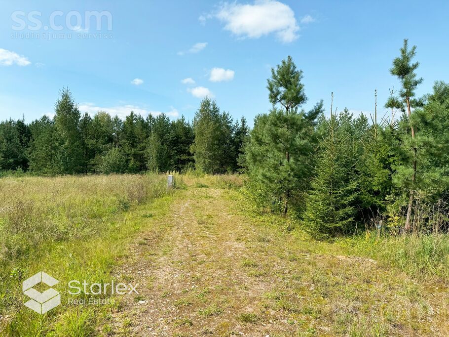 Dilles, Amata, Cēsis un raj., Drabešu pag. — zeme