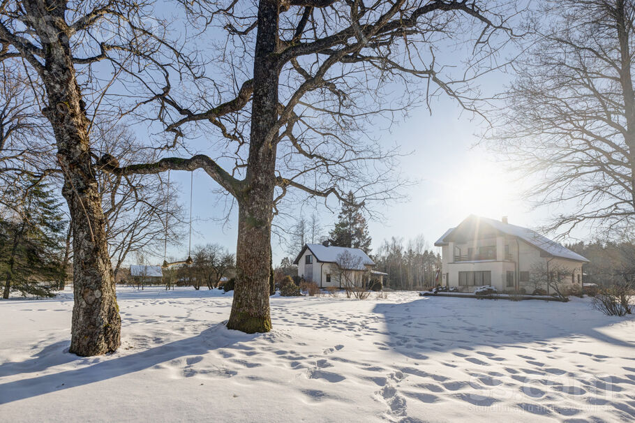 Vetras, Trenči, Rīgas rajons, Babītes pag. — maja