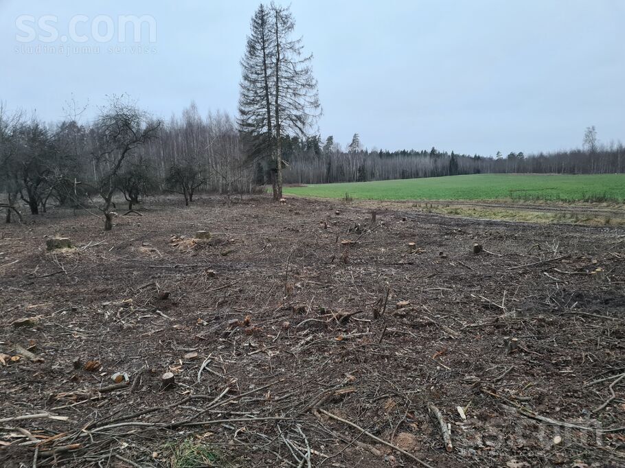 Birzkalni, Stelpe, Bauska un raj., Stelpes pag. — zeme