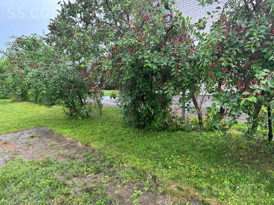 Vasarnīca 823 823, Ziedi, Aizkraukle un raj., Sērenes pag. — maja