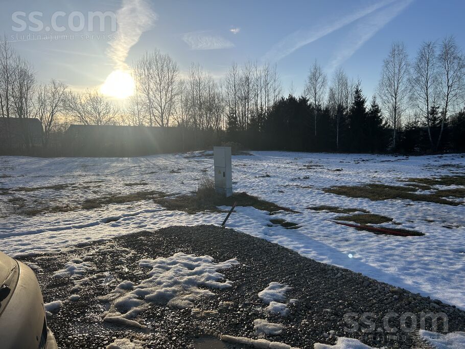 Ziedlejas 12, Ogre un raj., Ogre — zeme