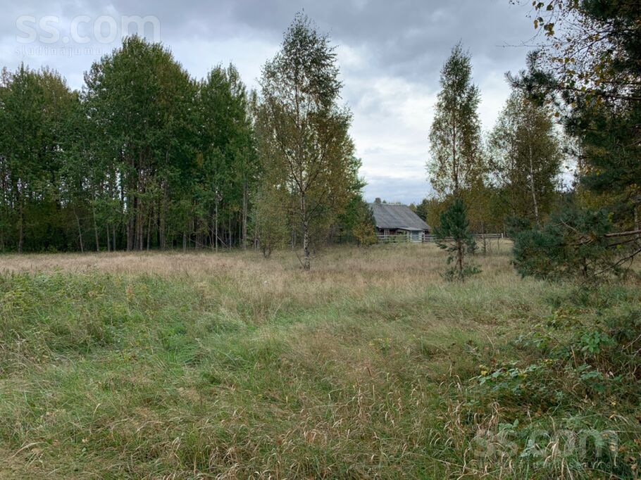 Buciņi, Lielirbe, Ventspils un raj., Tārgales pag. — zeme