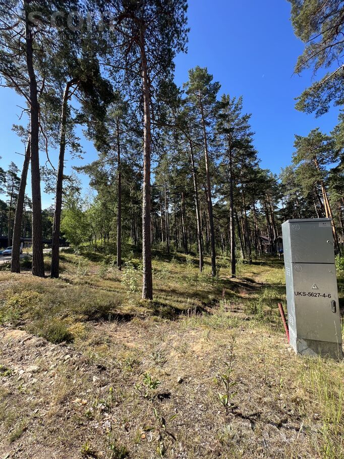 Ūdeņu iela 4, Gauja, Rīgas rajons, Carnikavas nov. — zeme