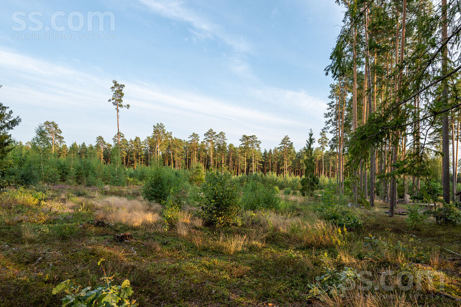 Mellenes, Inčukalns, Rīgas rajons, Inčukalna nov. — zeme