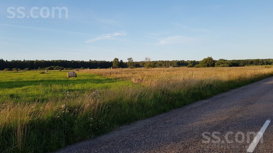 Ceriņziedi, Upesgrīva, Talsi un raj., Mērsraga pag. — zeme