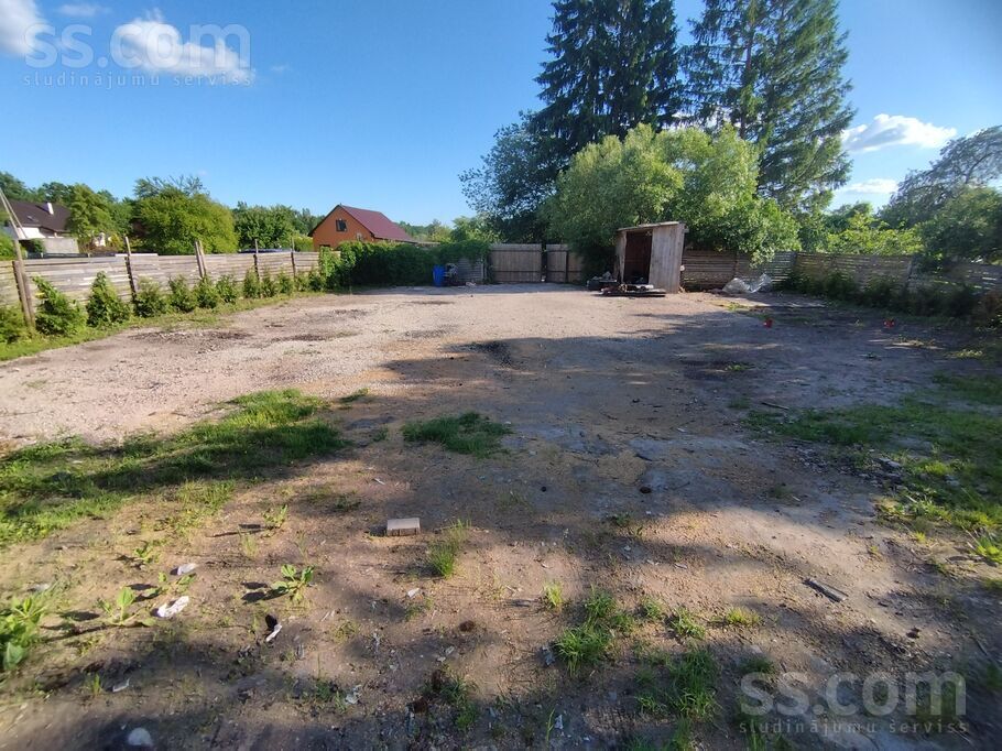 Ciedru 10, Jelgava un raj., Jelgava — maja