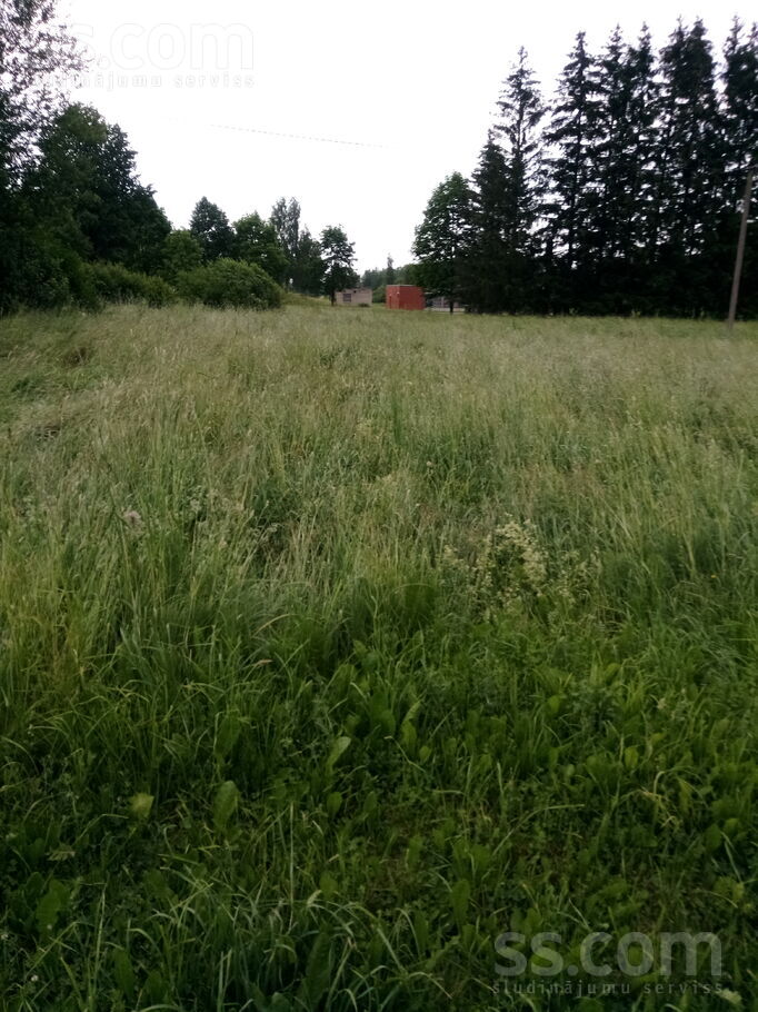 Līvānu 23, Brigi, Ludza un raj., Briģu pag. — zeme