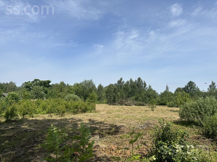 Teatra 25a, Ludza un raj., Kārsava — zeme