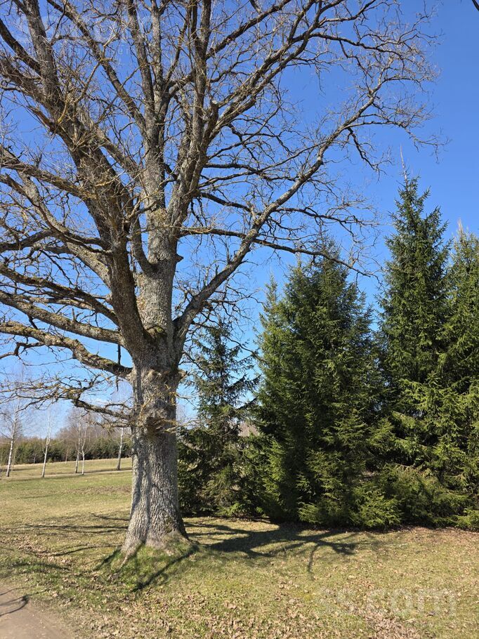 Ozolkalni, Ogre un raj., Jumpravas pag. — maja