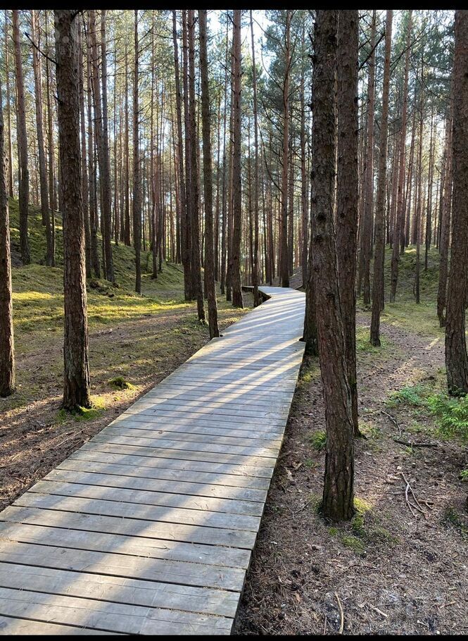 Muižas iela 11, Rīgas rajons, Saulkrasti — zeme