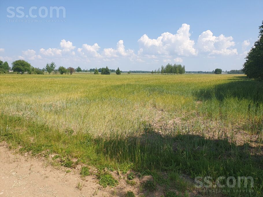 Ganību iela 23, Limbaži un raj., Salacgrīva — zeme