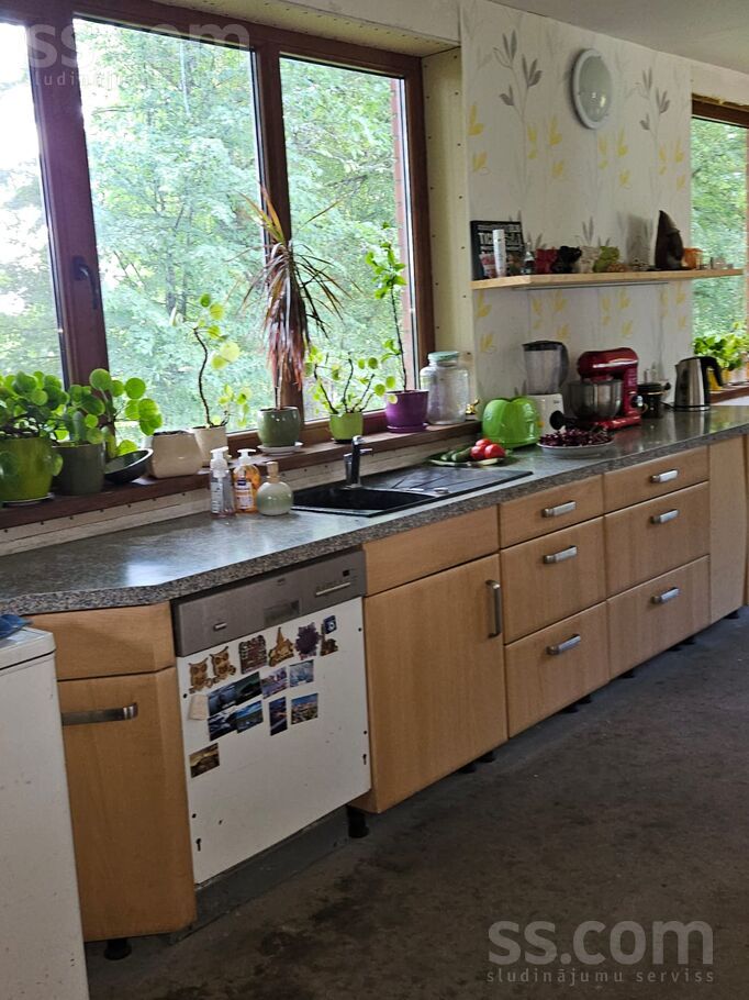 Talsi un raj., Abavas pag. — vienseta