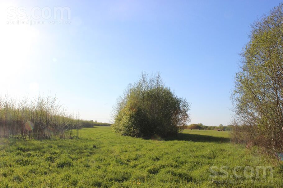 Paegļu 28c, Vītoliņi, Jelgava un raj., Valgundes nov. — zeme