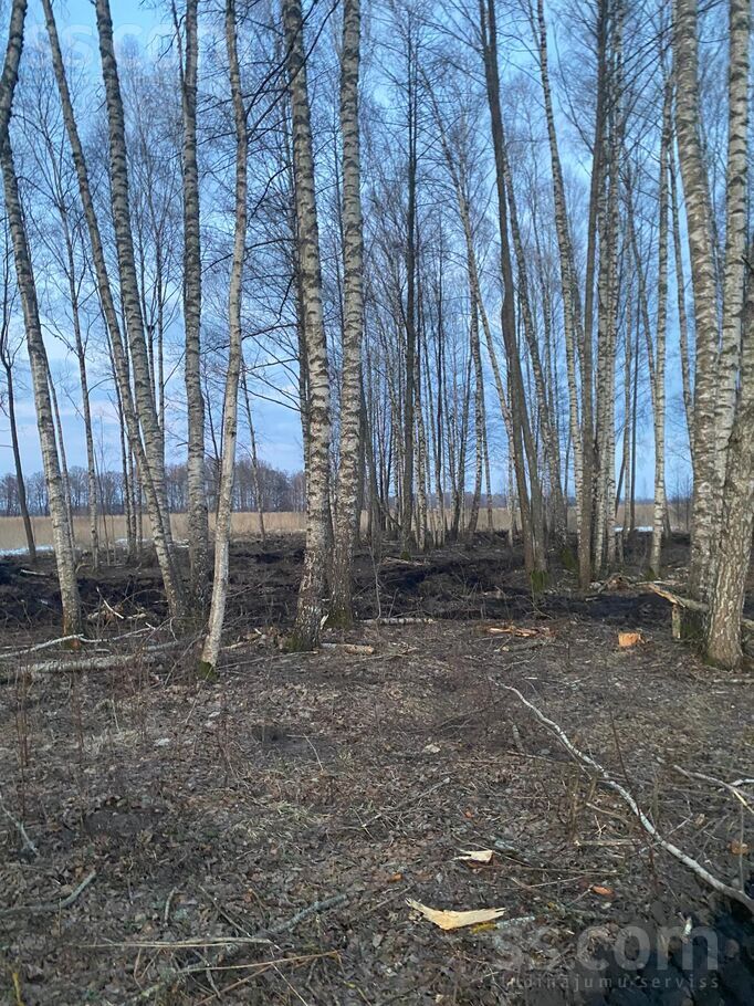 Dzirnupes, Krištopeņi, Preiļi un raj., Rušonas pag. — maja