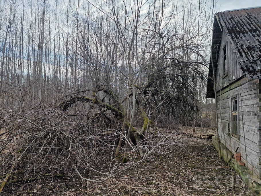 Vite, Rīgas rajons, Mālpils pag. — vienseta