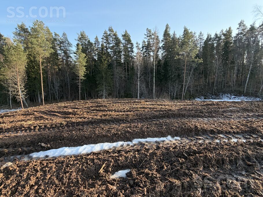 Toma iela 6, Priekuļi, Cēsis un raj., Priekuļu pag. — zeme