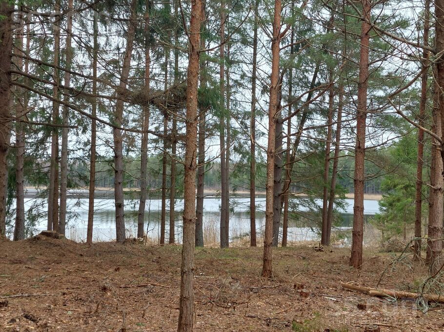 Kāņciems, Talsi un raj., Ģibuļu pag. — zeme