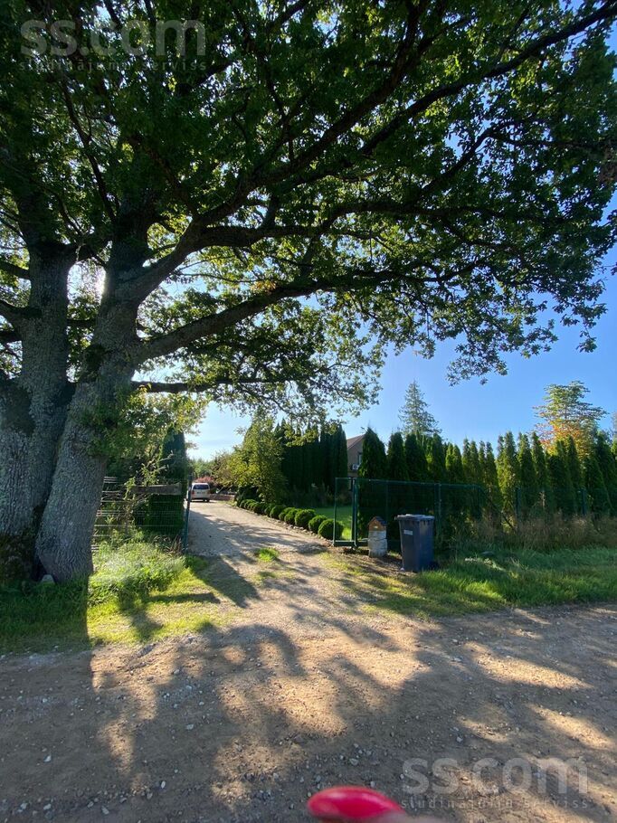 Birzgale, Ogre un raj., Birzgales pag. — vienseta