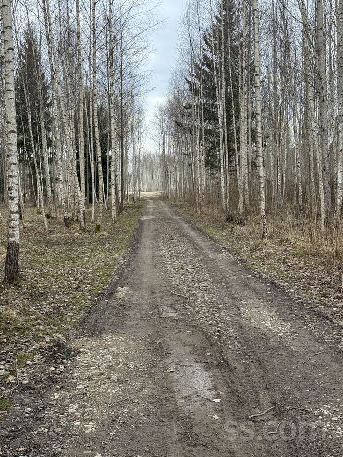 Cerību Līcis, Talsi un raj., Valdemārpils l. t. — zeme