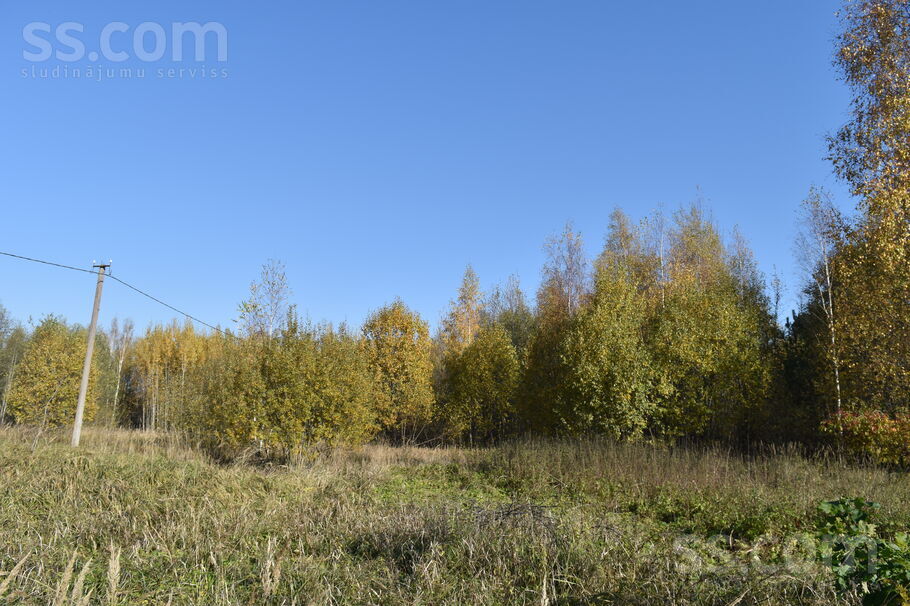 Normaļi, Plakanciems, Rīgas rajons, Ķekavas pag. — zeme