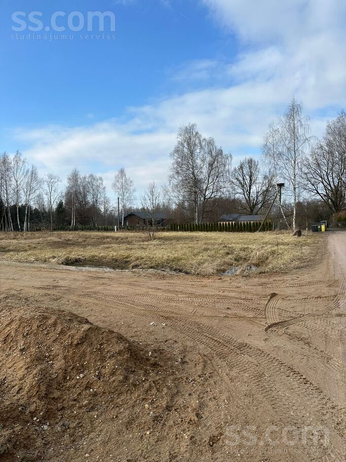 Jaunozolu 1, Ozolnieki, Jelgava un raj., Ozolnieku pag. — zeme