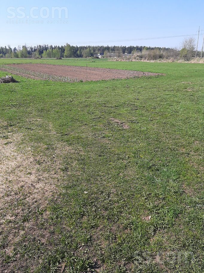 Staburags, Aizkraukle un raj., Staburaga pag. — vienseta