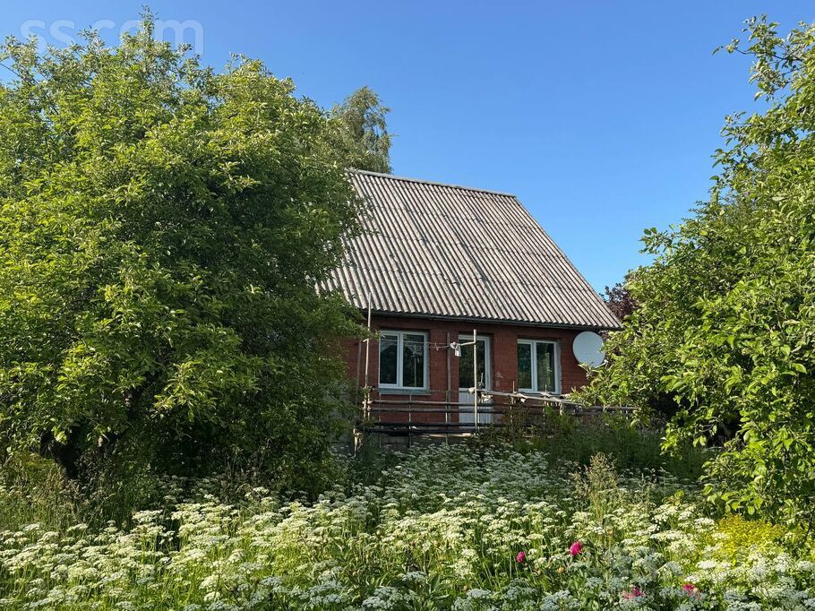 Ābeļziedi, Zūras, Ventspils un raj., Vārves pag. — maja