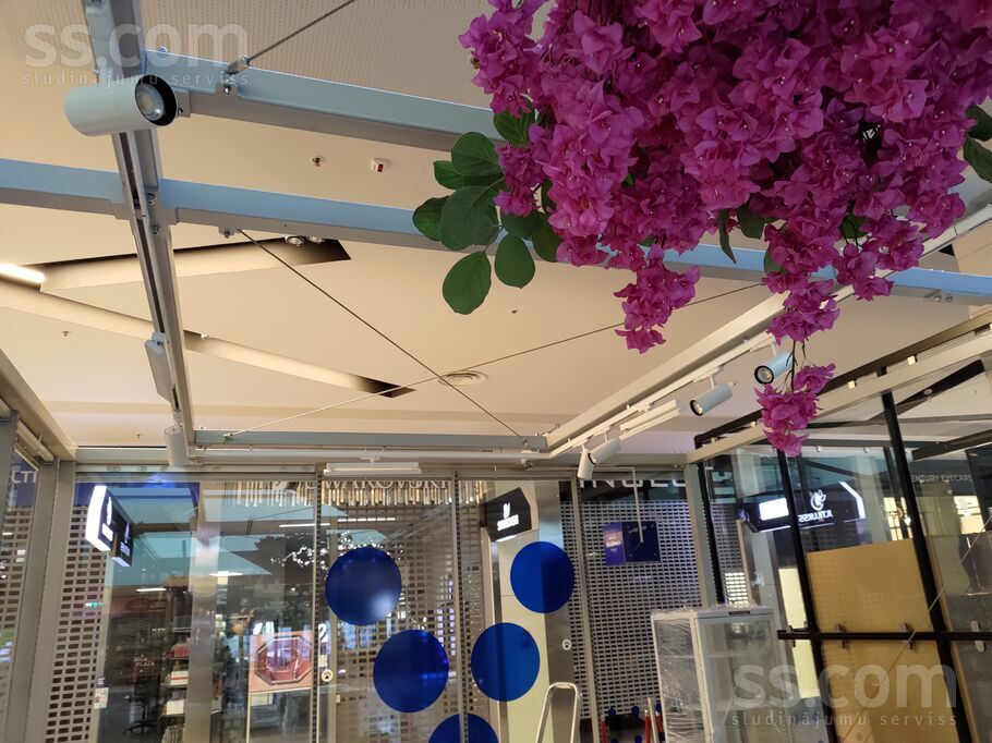 Unknown address — telpa