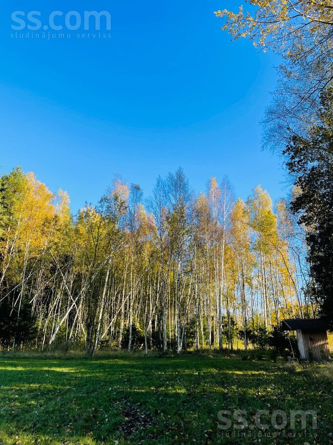 Eglītes, Pēternieki, Rīgas rajons, Olaines pag. — zeme