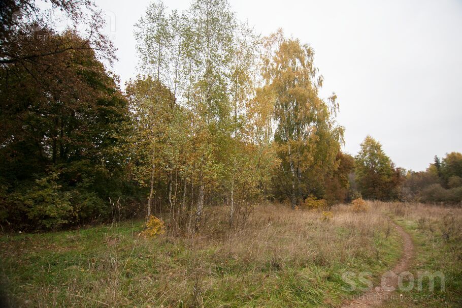 Ārstniecības iela 10, Rīgas rajons, Baldone — zeme