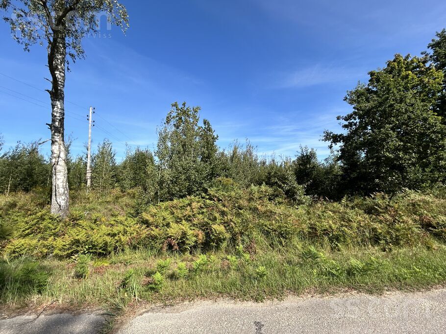 Meža Dravnieki, Plakanciems, Rīgas rajons, Ķekavas pag. — zeme