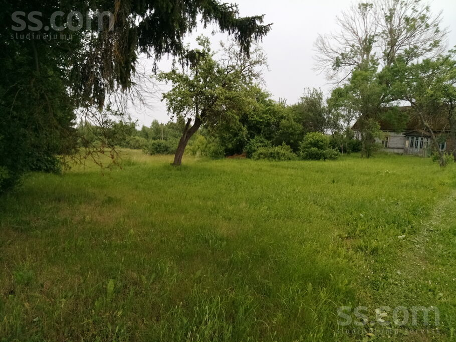 Līvānu 23, Brigi, Ludza un raj., Briģu pag. — zeme