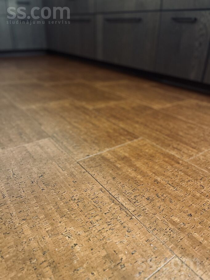 Rūdolfa 1a, Rīga — dzivoklis