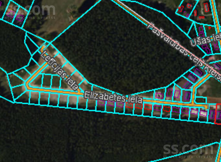 Elizabetes 24, Spilve, Rīgas rajons, Babītes pag. — maja