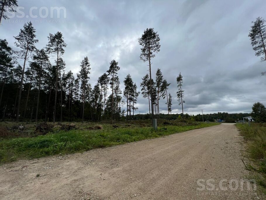 Palu iela, Sēbruciems, Rīgas rajons, Babītes pag. — zeme