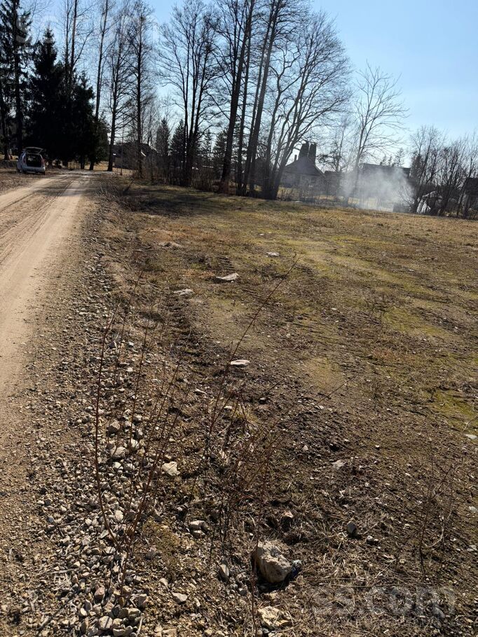 Aiviekstes iela 2, Aizkraukle un raj., Pļaviņas — zeme