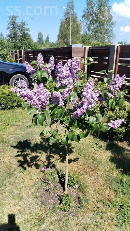 Juglas krastm., Rīga — maja