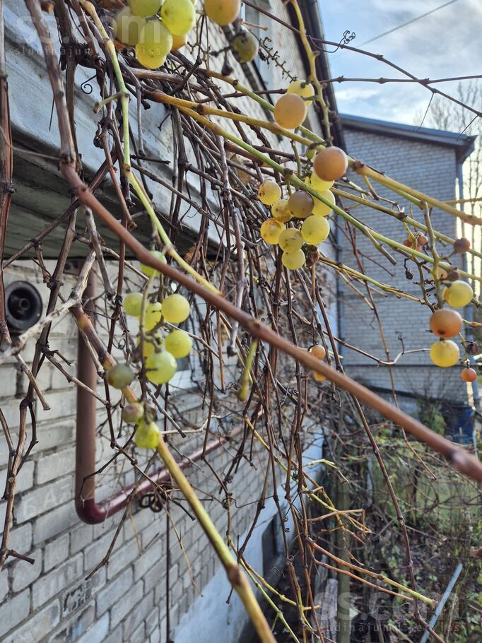 Aplokciema 20, Rīga — dzivoklis