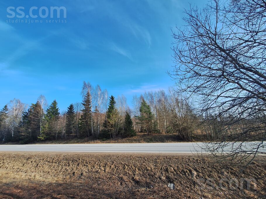 Bez nosaukuma, Eikaži, Rīgas rajons, Krimuldas pag. — zeme