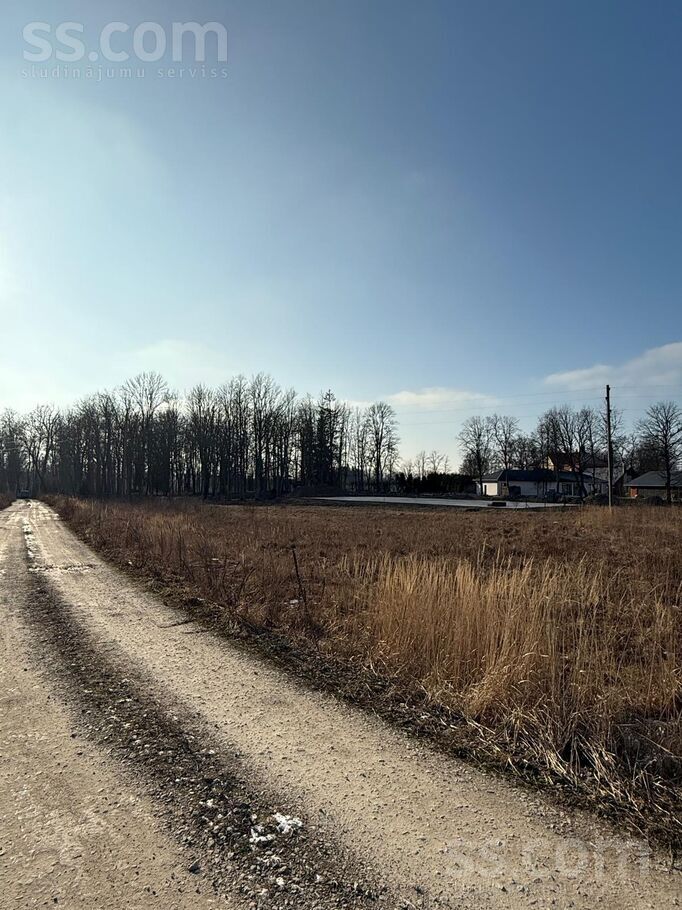 Muižas, Liepupe, Limbaži un raj., Liepupes pag. — zeme