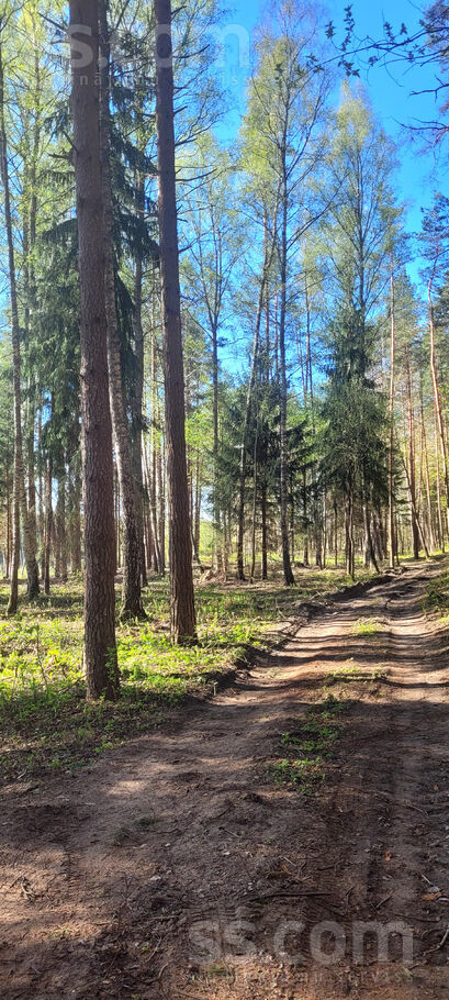 Samu līcis, Sandariški, Daugavpils un raj., Naujenes pag. — zeme