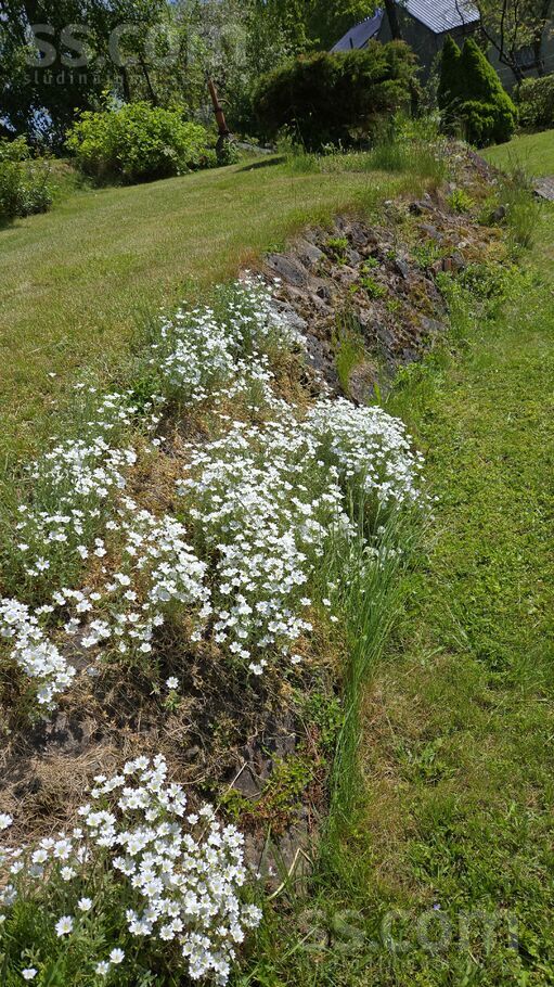 Daugavmalas 3, Rīga — maja